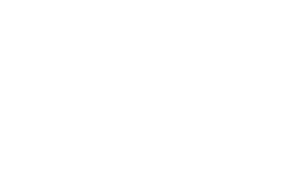 SPECIAL EVENT BUS SERVICE